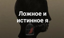 cover.jpg cover.jpg