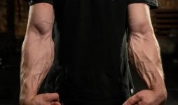 cover.jpg cover.jpg